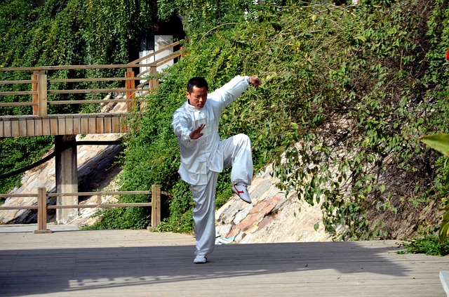 China, home of tai chi and kung fu