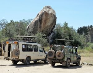 The ultimate Africa safari experience in Tanzania