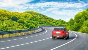 74 International Drivers Permit